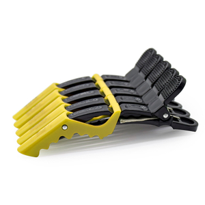 Accessories Hairgrips 