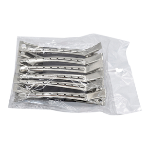 Silver Stainless Steel Clips
