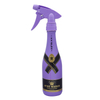 Atomiser Plastic Pump Spray Bottle