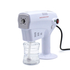  Nano Steam Spray Gun