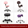 Beauty Chair Explosion-proof Massage Stool Beauty Lounge Chair Master Chair Barber Living Room Hairdressing Poltrona Furniture