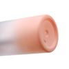 Ombre Color Spray Bottle