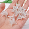 10pcs Hair Claws Braided Transparent Butterfly Small Hair Claw Clips Girls Hair Clamps Crab Barrettes Gripper Hair Accessories