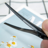 10pcs Salon Hair Clips Hairpins Barrettes Alligator Hair Clip for Women Pro Hairdressing Hair Styling Tools Barber Accessories