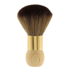 Cleaning Dust Clean Brush